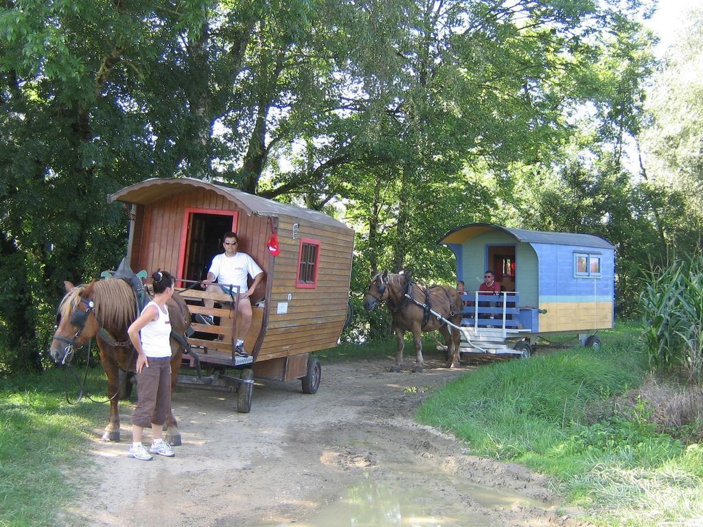Bed & Breakfast Che'val D'amour