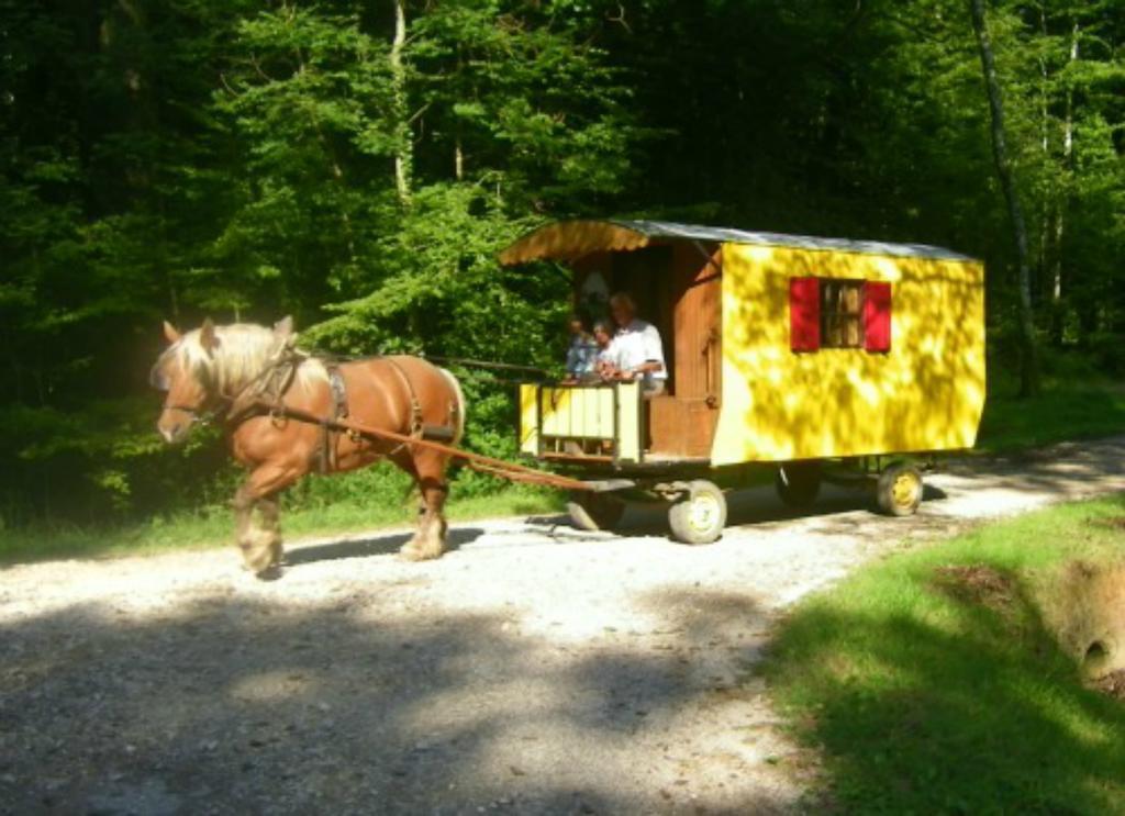 Frühstückspension Che'val D'amour Ecleux